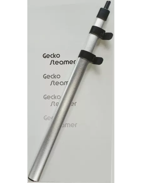 Asta telescopica