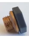 Drain screw